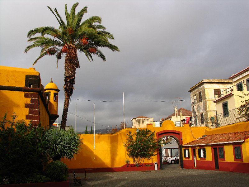 Madeira (26).jpg